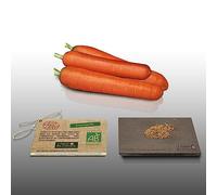 250 Graines Bio À Semer - Le Grenier D'abondance - Carotte Nantaise - Certifié Ab - Daucus Carota