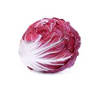 250 Graines de Chicorée à Feuilles Rouges - salade potagère - semences paysannes