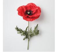 250 Graines de Coquelicot Sauvage - jardin fleur - semences paysannes reproductibles - SemiSauvage