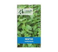 250 graines de menthe poivré - mentha piperita - herbe aromatique