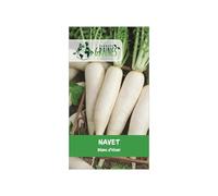 250 Graines de navet 'Blanc Dur d'Hiver' - Variété rustique et facile à cultiver pour récoltes d'automne et d'hiver