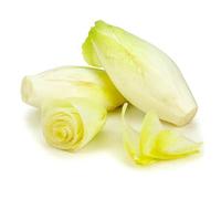 250 Graines d'Endive Demi-hâtive - SemiSauvage Permaculture