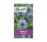 250 graines Nigelle de Damas Bleue - Cheveux de Venus