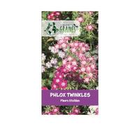 250 graines phlox twinkles - fleurs étoilées - graines Phlox Drummonda - fleurs de massifs, bordure ...