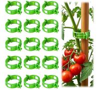 250 Pieces Clips Tomate pour Plantes - Plant Support Clips de Jardin en Plastique - pour Tomate Vigne tiges de Croissance - Vert