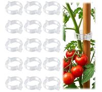 250 Pieces Clips Tomate pour Plantes - Plant Support Clips de Jardin en Plastique - pour Tomate Vigne tiges de Croissance - Blanc