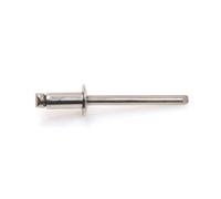 250 Rivets Aveugles Tête Ronde GORIVET TRS 4.8 x 14 mm - Inox A2 - D-Work