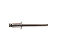 250 Rivets Aveugles Tête Ronde GORIVET TRS 4.8 x 20 mm - Inox A4 - D-Work