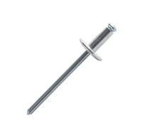 250 rivets éclatés à aluminium/acier à tête large à Ø4,8x16mm - SCELL-IT - PAL4816-BC