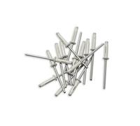 250 rivets trigrip de 4 x 20 blancs pour plaques mineralogiques -