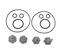 25004 2500 GHPH Kit de Joints de Remplacement de la Pompe à Filtre, Matériau PVC Premium, Installation Professionnelle, Large applicabilité, Durable, Ensemble Complet d'accessoires, Vanne et
