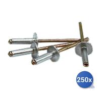 250X Rivets Aluminium Tête Extra Large E-100 Mm 4,8X20