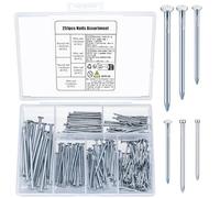 251 Pièces Assortiment de Clous, Clous Muraux en Béton, Pointes et Cclous d’Accrochage pour Accrocher Images Travail du Bois