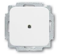 2538-214 Plaque Store, Central - Busch-jaeger