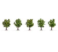 NOCH 25610 Assortiment d'arbres arbre fruitier 80 mm (max) 5 pc(s)
