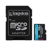 256gb microsdxc canvas go plus card+adp
