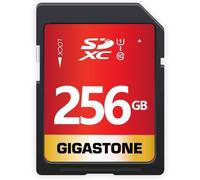256GB SDXC Memory Card Speed 80MB/s Compatible with Canon Nikon Sony Panasonic Camera V30 U3 UHS-I Class 10 for UHD Video with 1 Mini Case