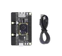 25K Cores Board GW5A-LV25MG121 RISCV FPGA Carte de développement PMOD SDRAM Embedded Development Board