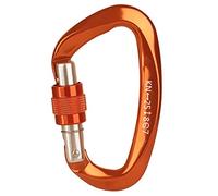 25KN Mousqueton, Grand Mousquetons Escalade avec Capuchon à Vis, 7075 Aluminium vis Robustes, pour Laisse Chien, Hamac, Balancoire, Porte Clé, Moyen 8cm, Forme D, Argent