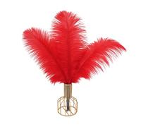 25pcs Plume d'Autruche Naturel Artisanat 8-10 Pouce (20-25 cm) Plume pour Centres de Mariage Décoration de La Maison, Couture, Artisanat, Costumes, Fête à Thème, Décoration de Noël (20-25cm,Rouge)