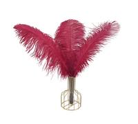 25pcs Plume d'Autruche Naturel Artisanat 8-10 Pouce (20-25 cm) Plume pour Centres de Mariage Décoration de La Maison, Couture, Artisanat, Costumes, Fête à Thème, Décoration de Noël (20-25cm,Vin Rouge)