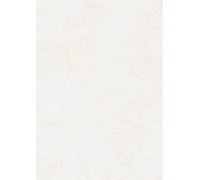 25XHeyda 204718500 soie de paille50x70ws