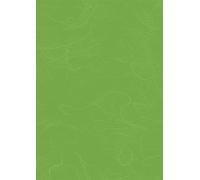 25XHeyda 204718554 Soie de paille50x70gr.gn