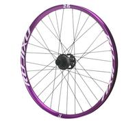 26/27,5/29in Roue De Vélo De Montagne Axe Traversant Avant 20 X 110mm Arrière 12 X 150mm Jante en Alliage D'aluminium Frein À Disque 32H Moyeux pour 7 À 12 Vitesses(Black,29''-Rear)