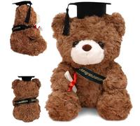 26cm Ours en Peluche Remise des Diplômes, Ours Mignon Diplômé avec Chapeau de Remise, Ours en Peluche avec Casquette Noire et Diplôme, Ours en Peluches Cadeau de Fin d'études, Unisexe Cadeau Diplome