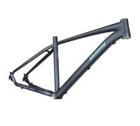 26er Cadre Vélo Rigide De Montagne Frein À Disque Dégagement Rapide 135mm