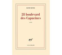 David McNeil – 28 boulevard des Capucines – Récit – Gallimard broché