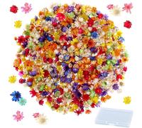 280pcs Dried Flowers For Resin,Dried Flowers For Candles With Dry Flower Box,Decorative Dried Flowers,Small Star Flower For Crafts,Candle Making