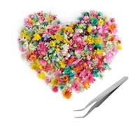 281 Pièces Fleurs Séchées Fleurs Sechees Naturelles Fleurs Sechees Fleurs Séchées pour Bougies pour Bougies Parfumées Fabrication de Savon DIY Nail Art Etui de Téléphone Bijoux Boucles d'oreilles
