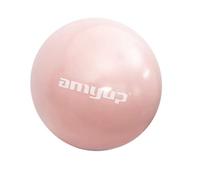 28cm Balle Pilates Yoga Entraînement Exercice Fitness Swiss Ball Anti-éclatement Rose