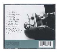 Ryan Adams – 29