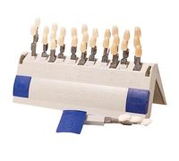 29 Couleurs Guide Teinte de Blanchiment des Dents 3D Dentaire Comparant le Modèle de Résine Guide Dents Plaque Colorimétrique