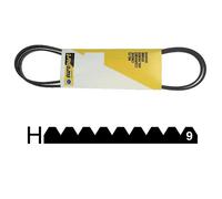 2953240200. COURROIE 1967 H9 POLY V BEKO