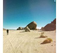 299 - The 299 Game [New Vinyl LP]