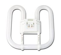 2D 16 W 2 broches 835 3500 K Blanc CFL Compact Fluorescent