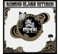 2econd Class Citizen - The Small Minority [Import]