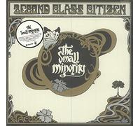 2econd Class Citizen - The Small Minority [Import]