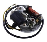 2EXTREME Alternateur d'allumage 6 volts 15 watts compatible avec Puch Maxi | Stator, plaque, rotor; type Bosch; diamètre extérieur/intérieur 90/18 millimètres; compatible avec Hercules Mofa, Prima 2 à 5