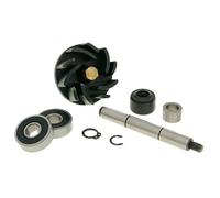 2EXTREME Kit de réparation pompe à eau compatible pour Gilera Runner Italjet 125/180 Piaggio Hexagon