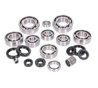 2EXTREME kit paliers moteur Rotax 122 compatible avec Aprilia RS 125,RX,SX | Jeu de roulements, joints d’arbre et joints; compatible avec Aprilia SX; Rotax 122 et 123 centimètres cubes nécessite 42814