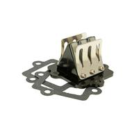 2EXTREME Racing boîte à clapets (Six clapets), Compatible avec KEEWAY Hacker, Hurricane, Matrix, RX6, RX8, RY6, RY8, Swan 50cc