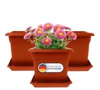 2friends Lot de 3 pots de fleurs carrés avec soucoupe, 28 x 28 cm, grand pot de fleurs et jardinière, terre cuite, fabriqué en Allemagne
