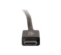 2m DisplayPort to HDMI Adapter Cable - Black - Câble adaptateur - DisplayPort mâle pour HDMI mâle - 2 m - blindé - noir