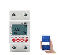 2P 63A TUYA APP WiFi Circuit Intelligent Fuite À La Terre sur sous Tension Protecteur Relais Dispositif Interrupteur Disjoncteur Énergie Puissance KWh Mètre Contrôle Précis L'énergie