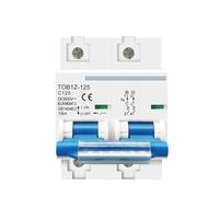 2P DC MCB 600V 125A 100A 80A Circuit breaker FOR PV System C curve Battery Main Switch(100A)
