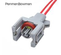 2p Wire Harness 1 Pc Connecteur Électronique Étanche Sfp, Injecteur Diesel Automatique Delphi, Fil De Prise De Rail De Carburant, T15 10811963, Kamppc024s8014, 1743486, 2 Broches "Nipseyteko